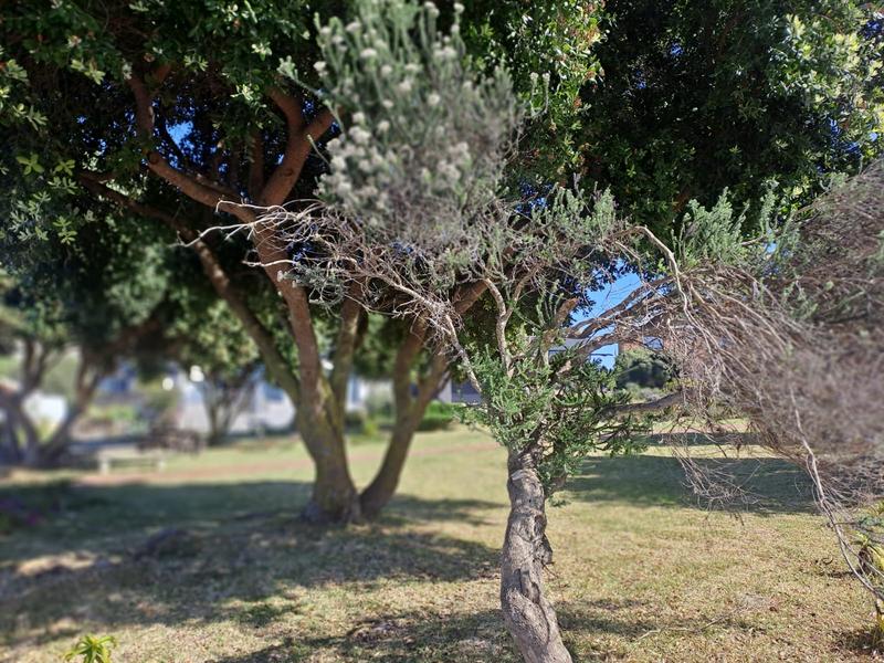 0 Bedroom Property for Sale in Vermont Western Cape